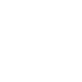 Caravan Experience